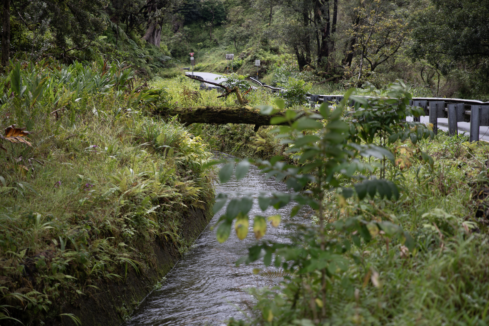 Water flows through one of East Maui Irrigation’s large ditches, taking water from East Maui towards central Maui. After the large storms that happened that week, the ditch is nearly full.