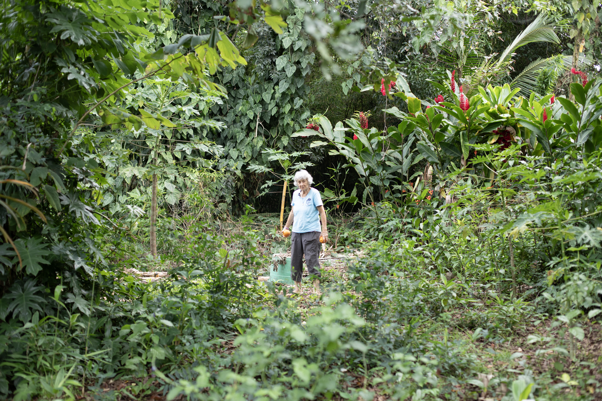 Photo story image