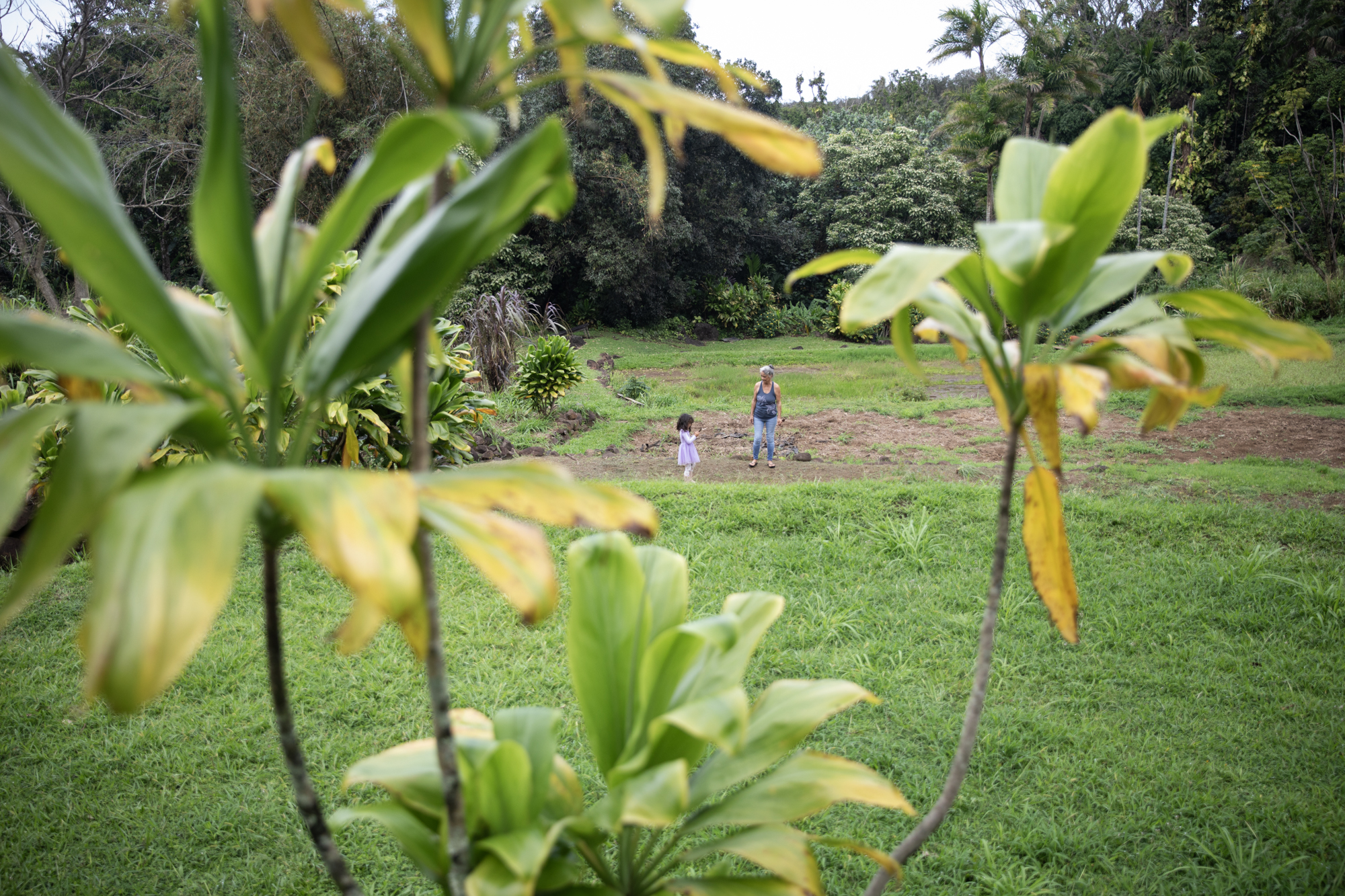 Photo story image
