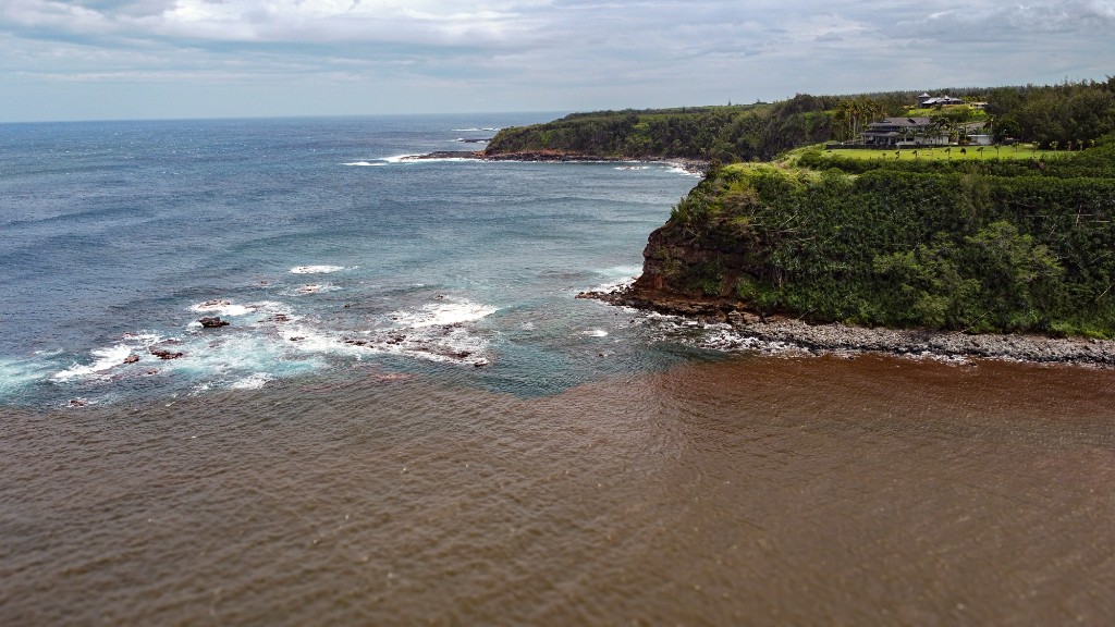 Ocean story header image