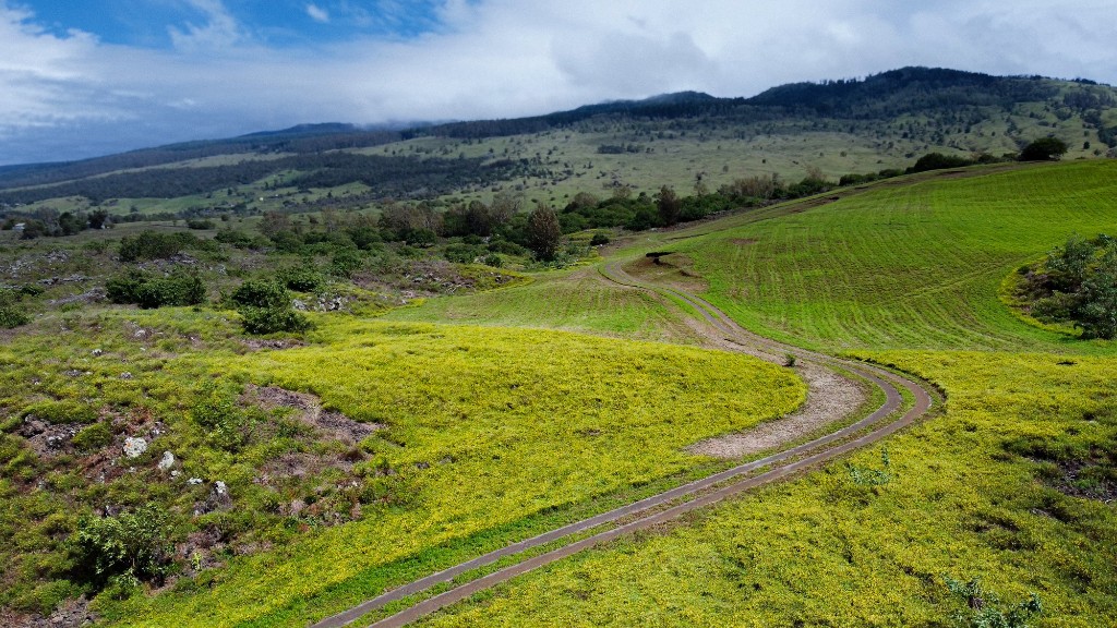 Eco story header image